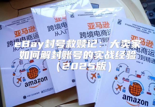 eBay封号救赎记：大卖家如何解封账号的实战经验2025版