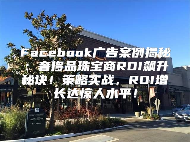 Facebook广告案例揭秘：奢侈品珠宝商ROI飙升秘诀！策略实战，ROI增长达惊人水平！
