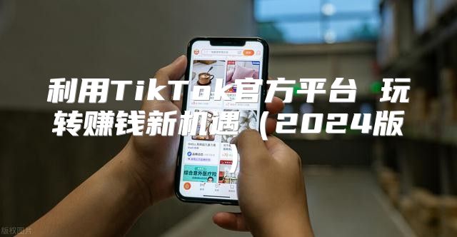 利用TikTok官方平台 玩转赚钱新机遇2025版
