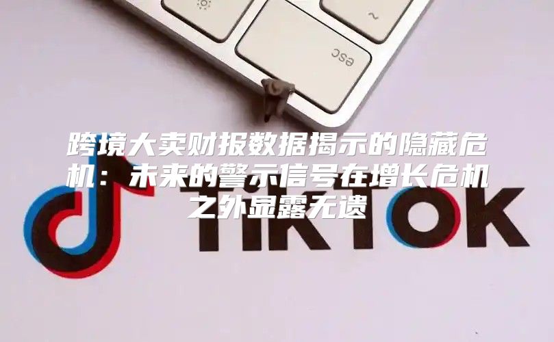 跨境大卖财报数据揭示的隐藏危机：未来的警示信号在增长危机之外显露无遗