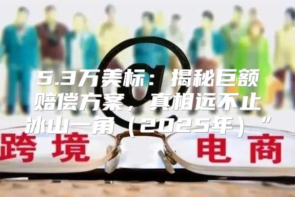 5.3万美标：揭秘巨额赔偿方案，真相远不止冰山一角2025年”