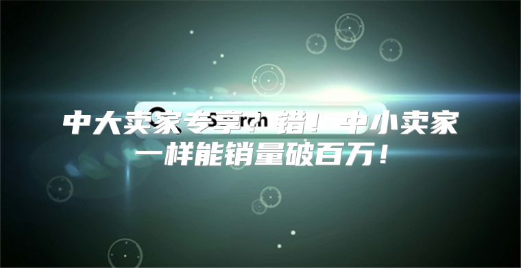 中大卖家专享？错！中小卖家一样能销量破百万！