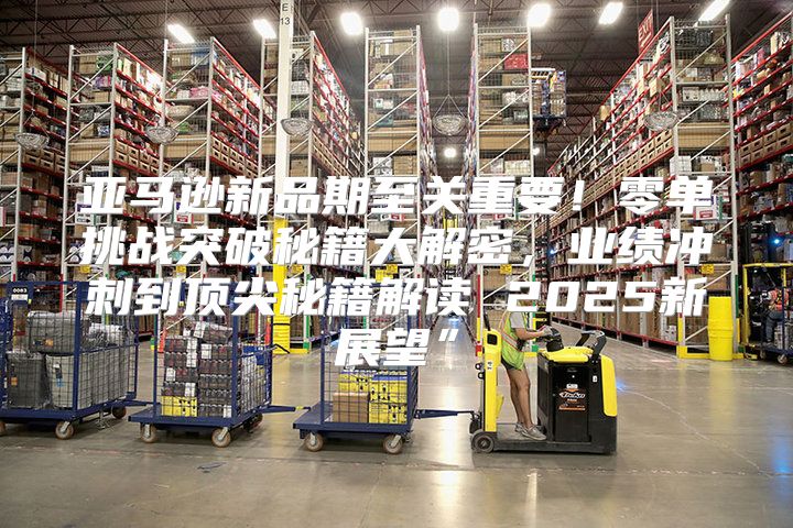 亚马逊新品期至关重要！零单挑战突破秘籍大解密，业绩冲刺到顶尖秘籍解读 2025新展望”
