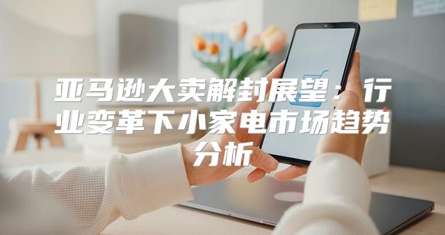 亚马逊大卖解封展望：行业变革下小家电市场趋势分析