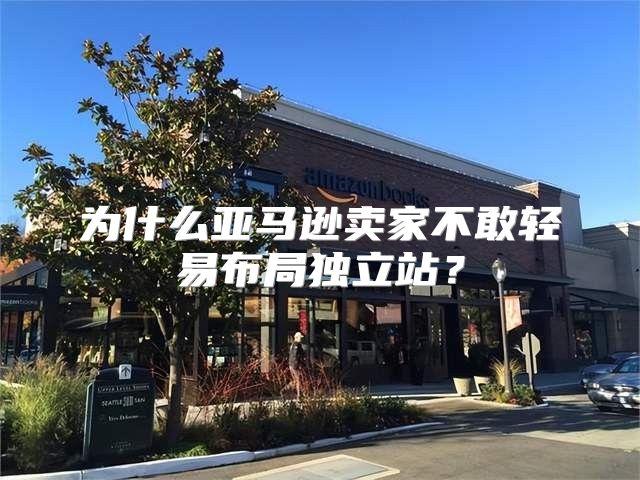 为什么亚马逊卖家不敢轻易布局独立站？