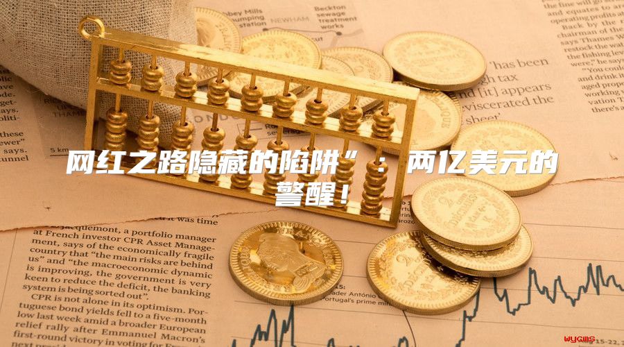 网红之路隐藏的陷阱”：两亿美元的警醒！