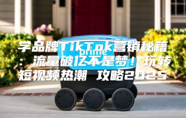 学品牌TikTok营销秘籍：流量破亿不是梦！玩转短视频热潮 攻略2025