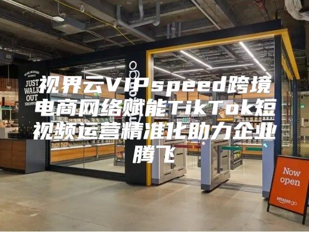 视界云VIPspeed跨境电商网络赋能TikTok短视频运营精准化助力企业腾飞