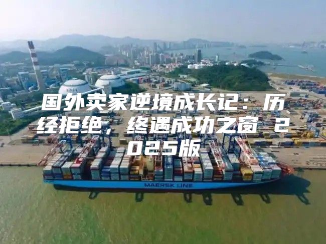 国外卖家逆境成长记：历经拒绝，终遇成功之窗 2025版