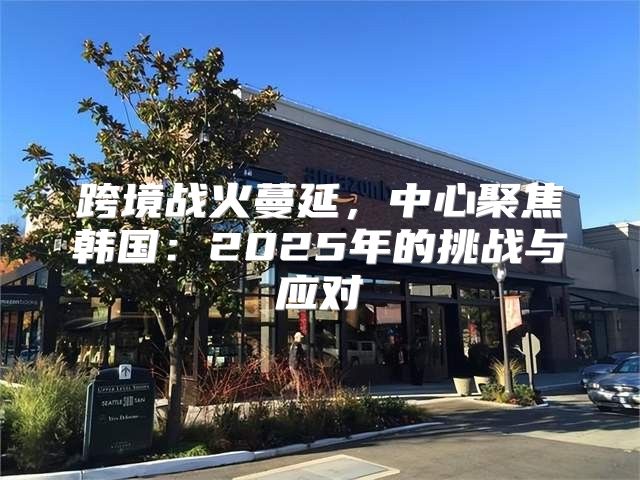 跨境战火蔓延，中心聚焦韩国：2025年的挑战与应对