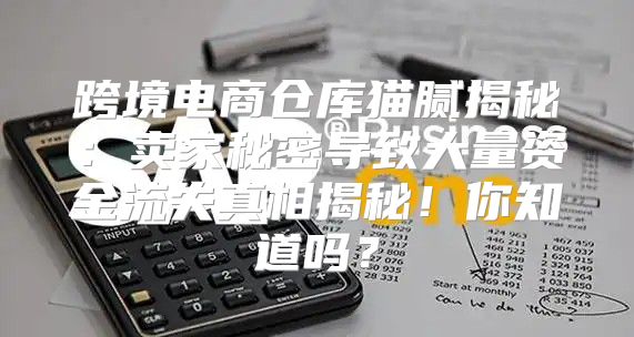 跨境电商仓库猫腻揭秘：卖家秘密导致大量资金流失真相揭秘！你知道吗？