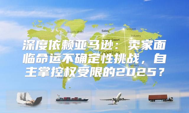 深度依赖亚马逊：卖家面临命运不确定性挑战，自主掌控权受限的2025？