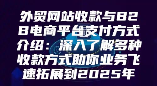 外贸网站收款与B2B电商平台支付方式介绍：深入了解多种收款方式助你业务飞速拓展到2025年