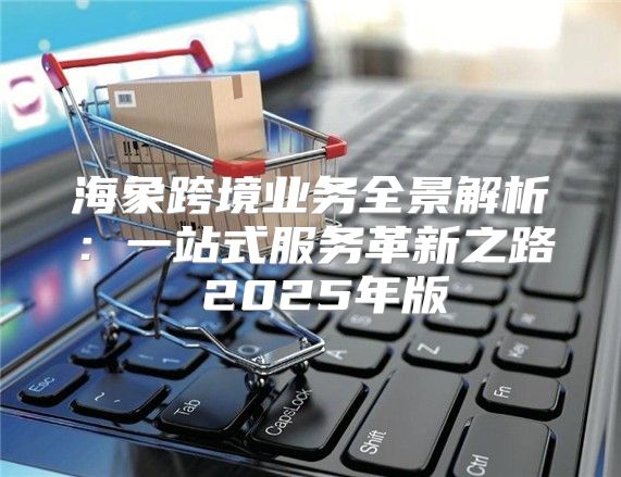 海象跨境业务全景解析：一站式服务革新之路 2025年版