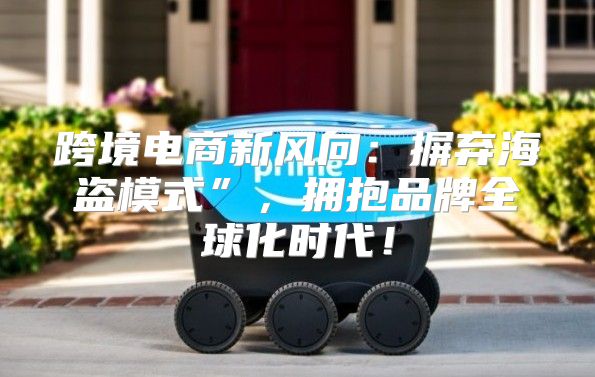 跨境电商新风向：摒弃海盗模式”，拥抱品牌全球化时代！