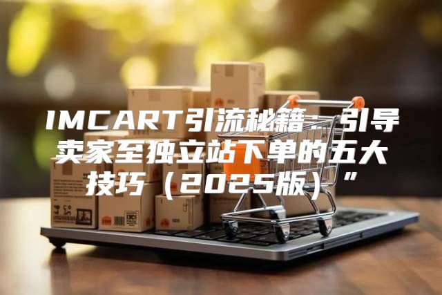 IMCART引流秘籍：引导卖家至独立站下单的五大技巧2025版”