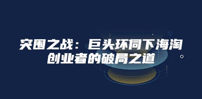 突围之战：巨头环伺下海淘创业者的破局之道