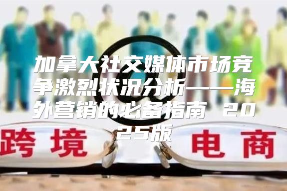加拿大社交媒体市场竞争激烈状况分析——海外营销的必备指南 2025版