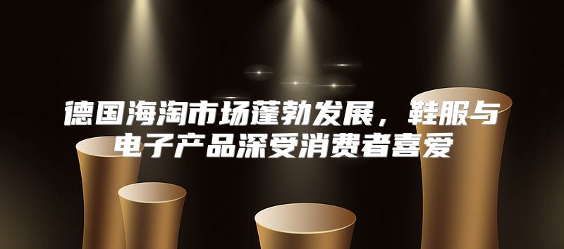 德国海淘市场蓬勃发展，鞋服与电子产品深受消费者喜爱