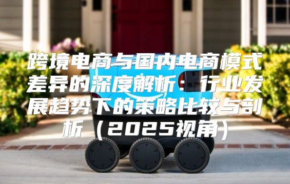 跨境电商与国内电商模式差异的深度解析：行业发展趋势下的策略比较与剖析2025视角