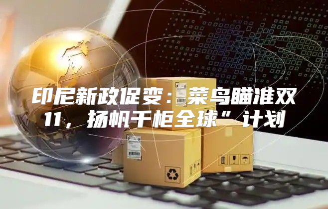印尼新政促变：菜鸟瞄准双11，扬帆千柜全球”计划
