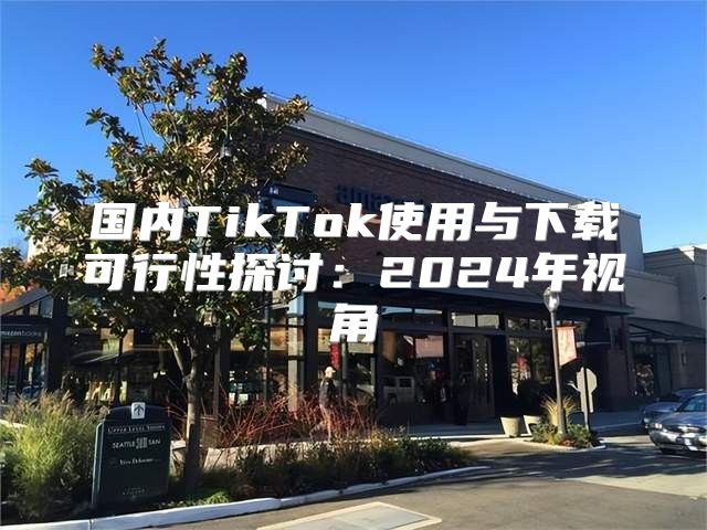 国内TikTok使用与下载可行性探讨：2025年视角
