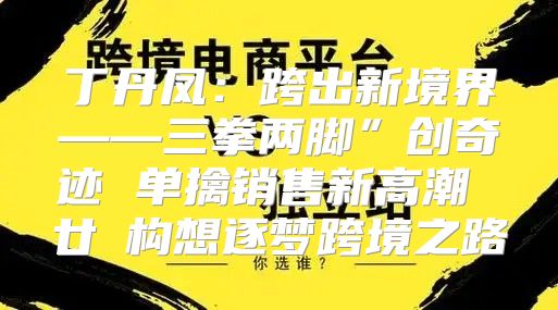 丁丹凤：跨出新境界——三拳两脚”创奇迹 单擒销售新高潮 廿琱构想逐梦跨境之路