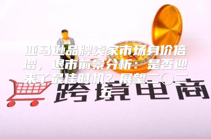 亚马逊品牌卖家市场身价倍增，退市前景分析：是否迎来了最佳时机？展望二〇二五