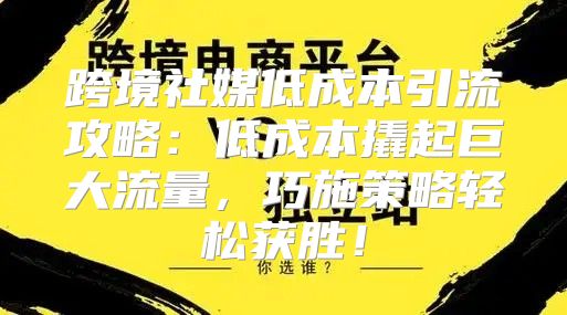 跨境社媒低成本引流攻略：低成本撬起巨大流量，巧施策略轻松获胜！