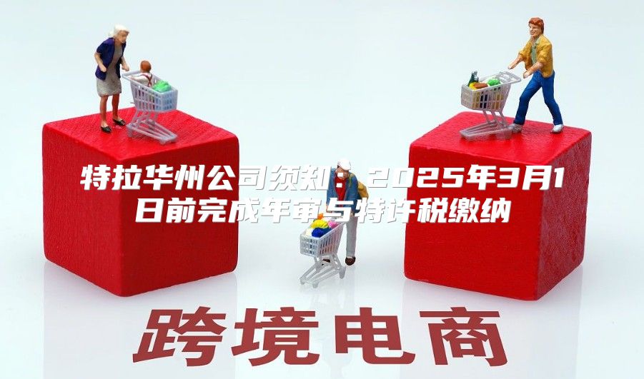 特拉华州公司须知：2025年3月1日前完成年审与特许税缴纳