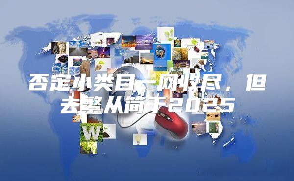 否定小类目一网收尽，但去繁从简于2025