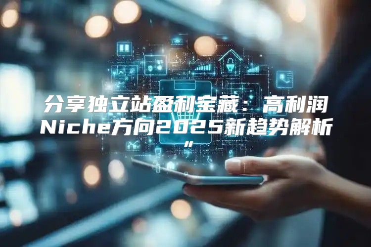 分享独立站盈利宝藏：高利润Niche方向2025新趋势解析”