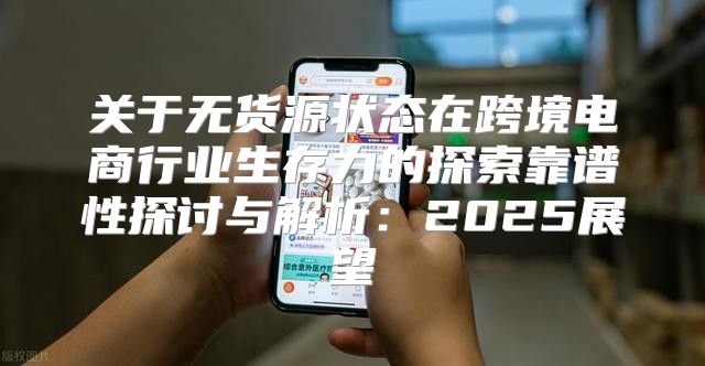 关于无货源状态在跨境电商行业生存力的探索靠谱性探讨与解析：2025展望