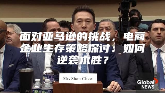 面对亚马逊的挑战，电商企业生存策略探讨：如何逆袭求胜？