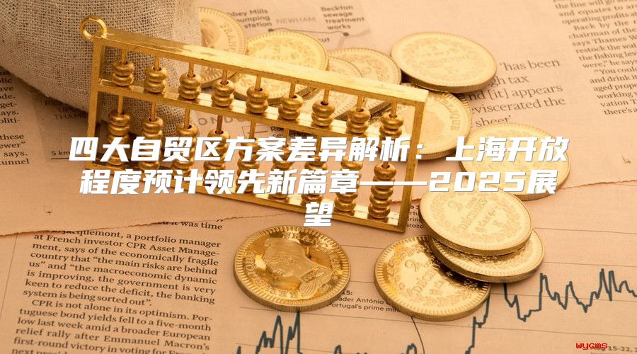 四大自贸区方案差异解析：上海开放程度预计领先新篇章——2025展望