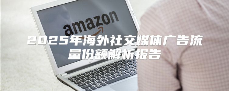 2025年海外社交媒体广告流量份额解析报告