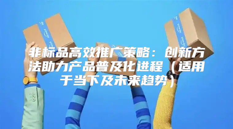 非标品高效推广策略：创新方法助力产品普及化进程适用于当下及未来趋势