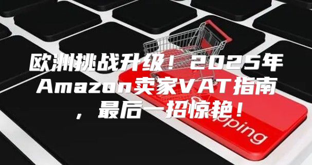 欧洲挑战升级！2025年Amazon卖家VAT指南，最后一招惊艳！