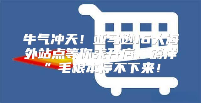 牛气冲天！亚马逊16大海外站点等你来开店，薅洋”毛根本停不下来！
