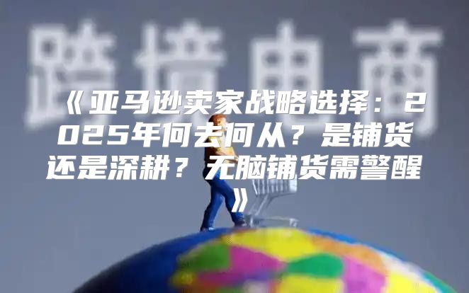 亚马逊卖家战略选择：2025年何去何从？是铺货还是深耕？无脑铺货需警醒