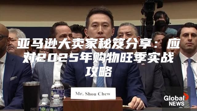 亚马逊大卖家秘笈分享：应对2025年购物旺季实战攻略