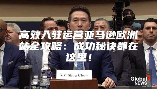 高效入驻运营亚马逊欧洲站全攻略：成功秘诀都在这里！