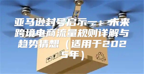 亚马逊封号启示一：未来跨境电商流量规则详解与趋势猜想适用于2025年