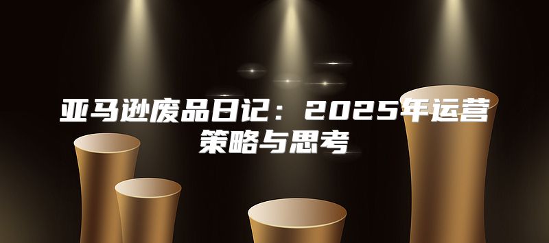 亚马逊废品日记：2025年运营策略与思考