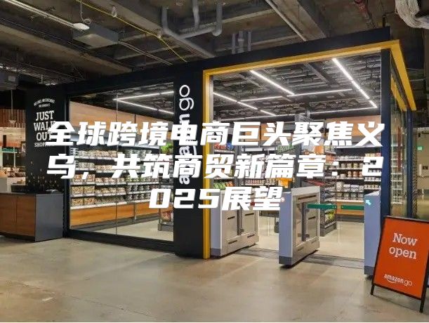 全球跨境电商巨头聚焦义乌，共筑商贸新篇章：2025展望