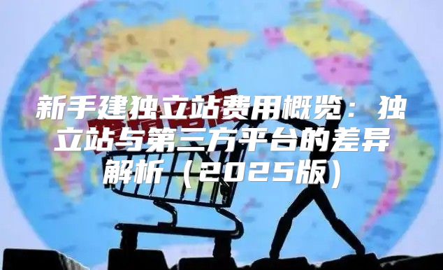 新手建独立站费用概览：独立站与第三方平台的差异解析2025版