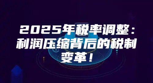 2025年税率调整：利润压缩背后的税制变革！