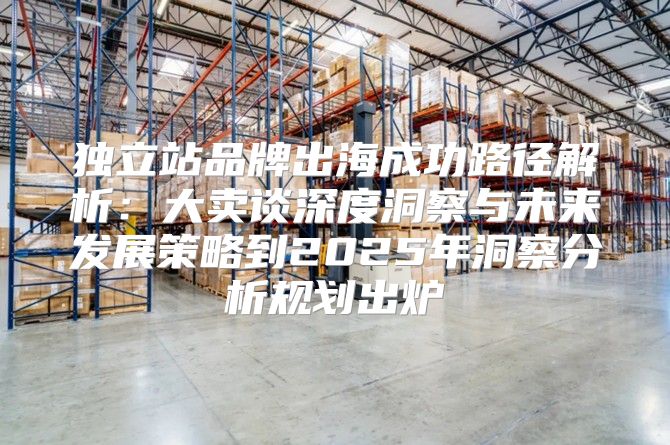 独立站品牌出海成功路径解析：大卖谈深度洞察与未来发展策略到2025年洞察分析规划出炉