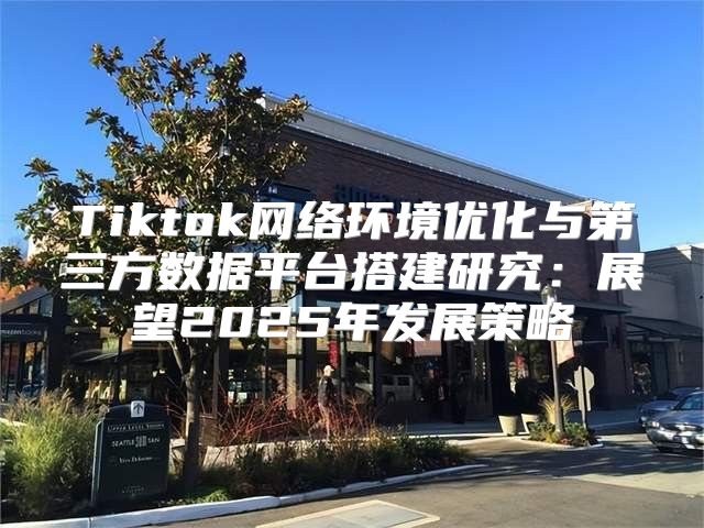 Tiktok网络环境优化与第三方数据平台搭建研究：展望2025年发展策略