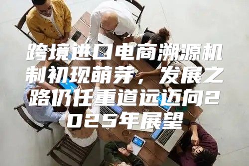 跨境进口电商溯源机制初现萌芽，发展之路仍任重道远迈向2025年展望